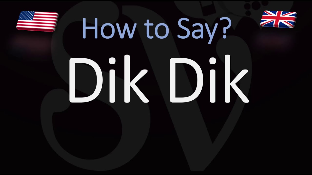 How to Pronounce Dik Dik? (CORRECTLY) Africa Animal Pronunciation