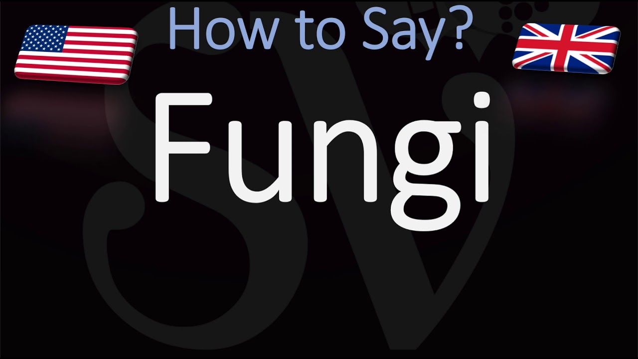 how-to-pronounce-fungi-correctly-italian-food